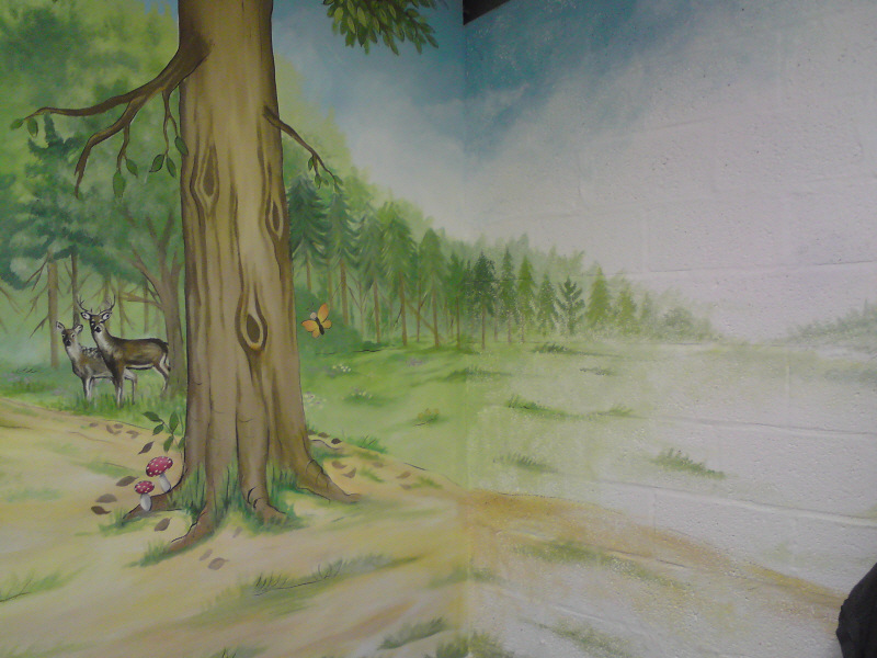 active kids adventure park mural