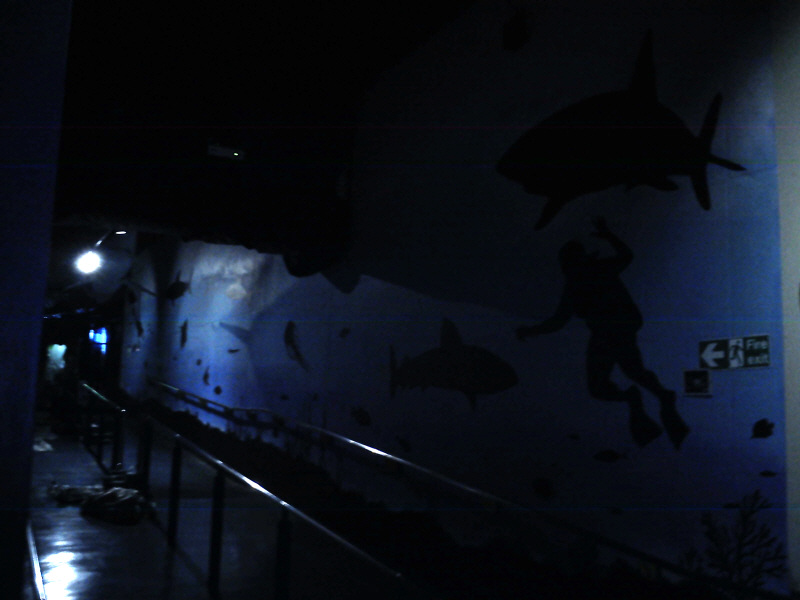Deep Sea World Mural